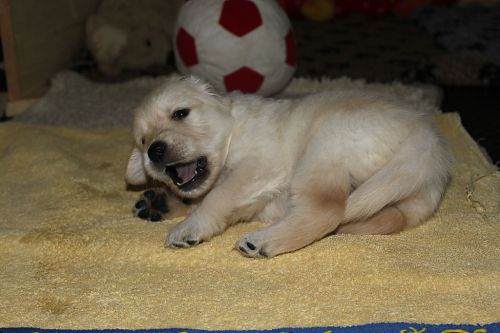 img_0221mini.jpg