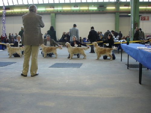 http://www.golden-stuebing.de/pixlie/cache/vs_Ausstellungen_enjarheinberg.jpg