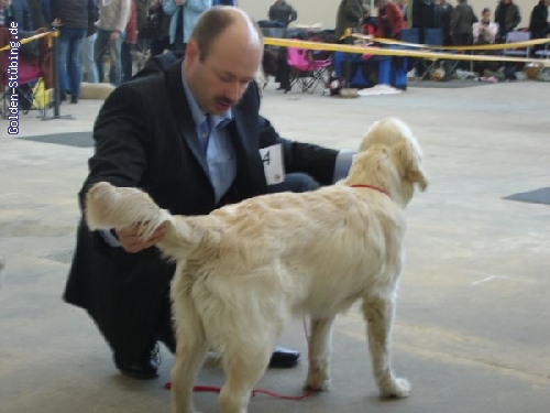 http://www.golden-stuebing.de/pixlie/cache/vs_Ausstellungen_shirarheinberg2.jpg